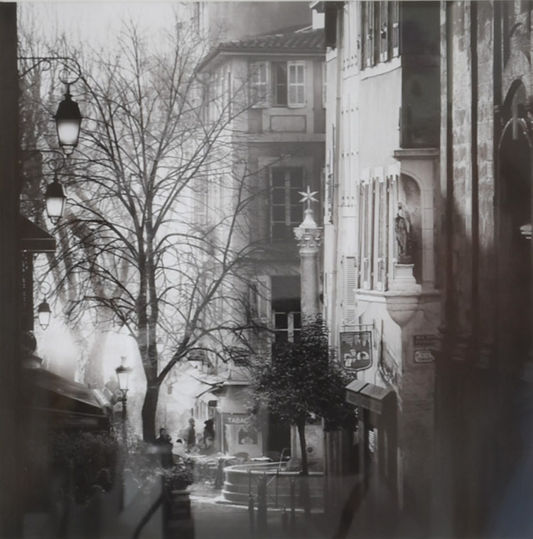 Photograph Tree by Jurek Nems Large