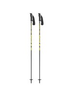 Swix Swix Rental Composite Ski Poles