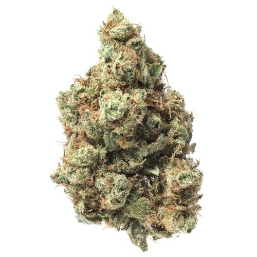 Hippie Hemp Hippie Hemp - Delta 8 Flower | Maui Waui Hippie Hemp Hippie Hemp - Delta 8 Flower | Maui Waui