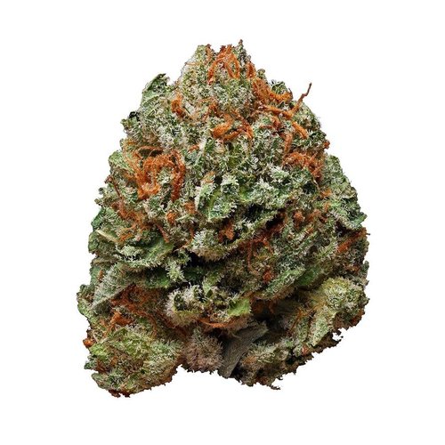 Hippie Hemp Hippie Hemp - Delta 8 Flower | Bubba Kush Hippie Hemp Hippie Hemp - Delta 8 Flower | Bubba Kush