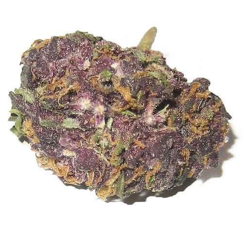 Hippie Hemp Hippie Hemp - Delta 8 Flower | Granddaddy Purple