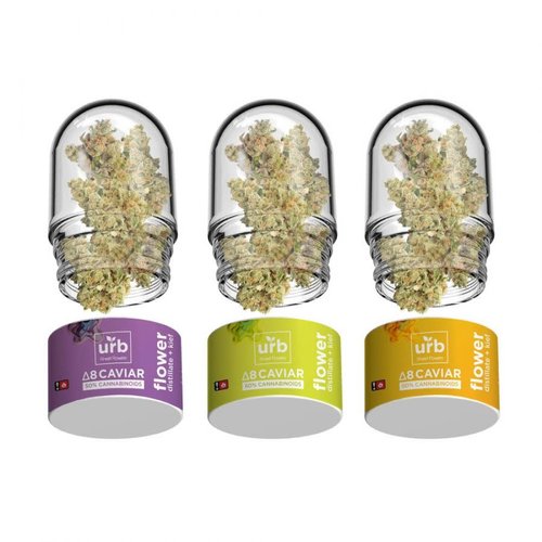 Urb Urb - D8 Caviar Urb Urb - D8 Caviar