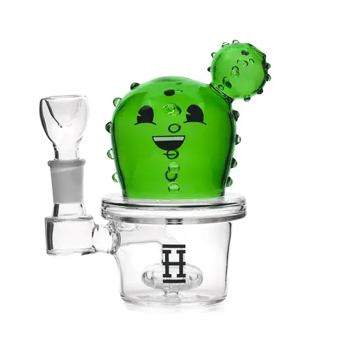 Hemper Co Happy Cactus