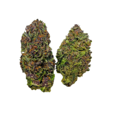 Grass Monkey Farms Tier 2 THCA Flower