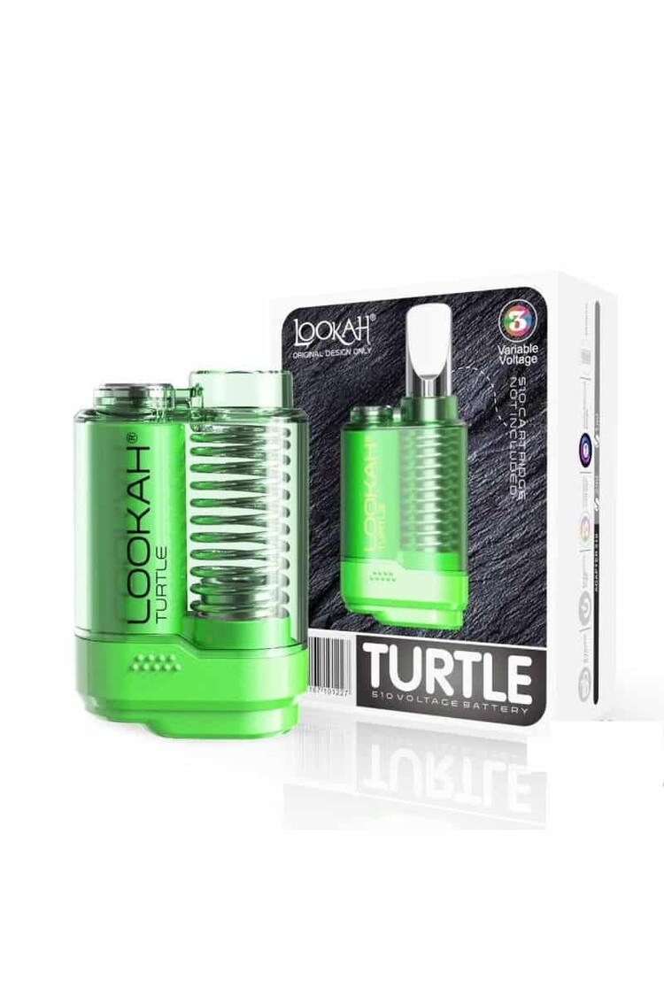 Lookah Lookah - Turtle