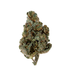 Crystals and Pistils Tier 4 THCA Flower