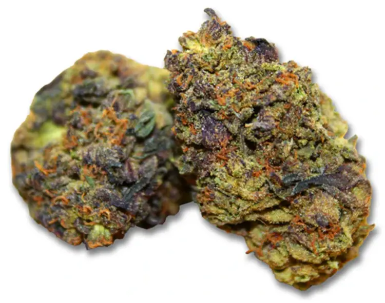 Grass Monkey Farms Grass Monkey Farms - Tier 3 THCA Flower