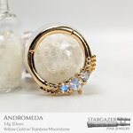 Andromeda 14g 10mm; Yellow Gold with Faceted Rainbow Moonstone