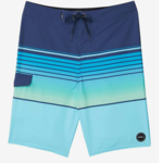 O'NEILL The O'Neill Lennox Stretch Boardshorts Sky