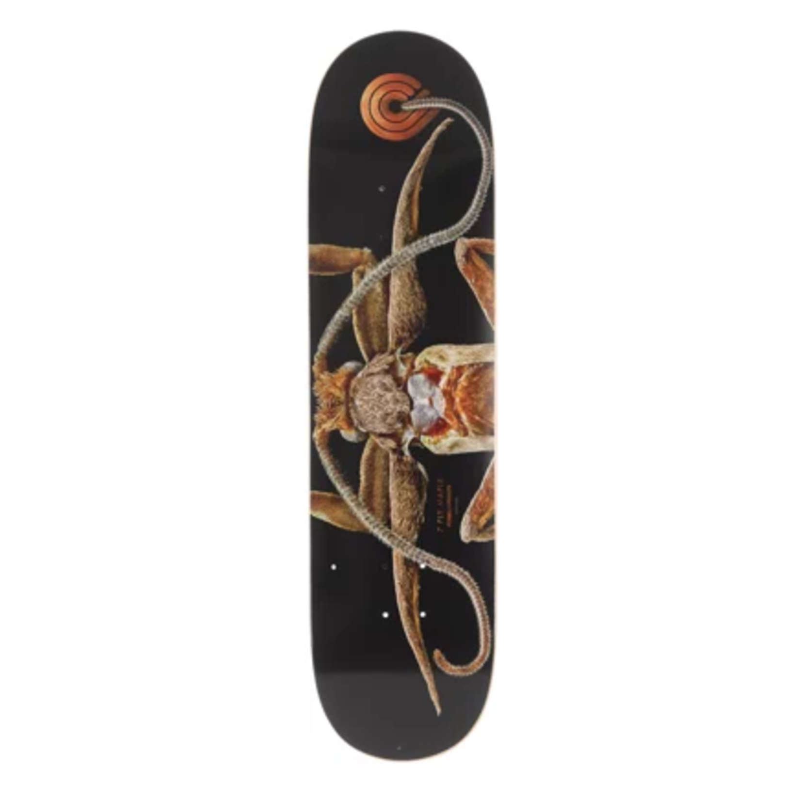 POWELL PERALTA POWELL PERALTA MARION MOTH SKATEBOARD DECK 8.25