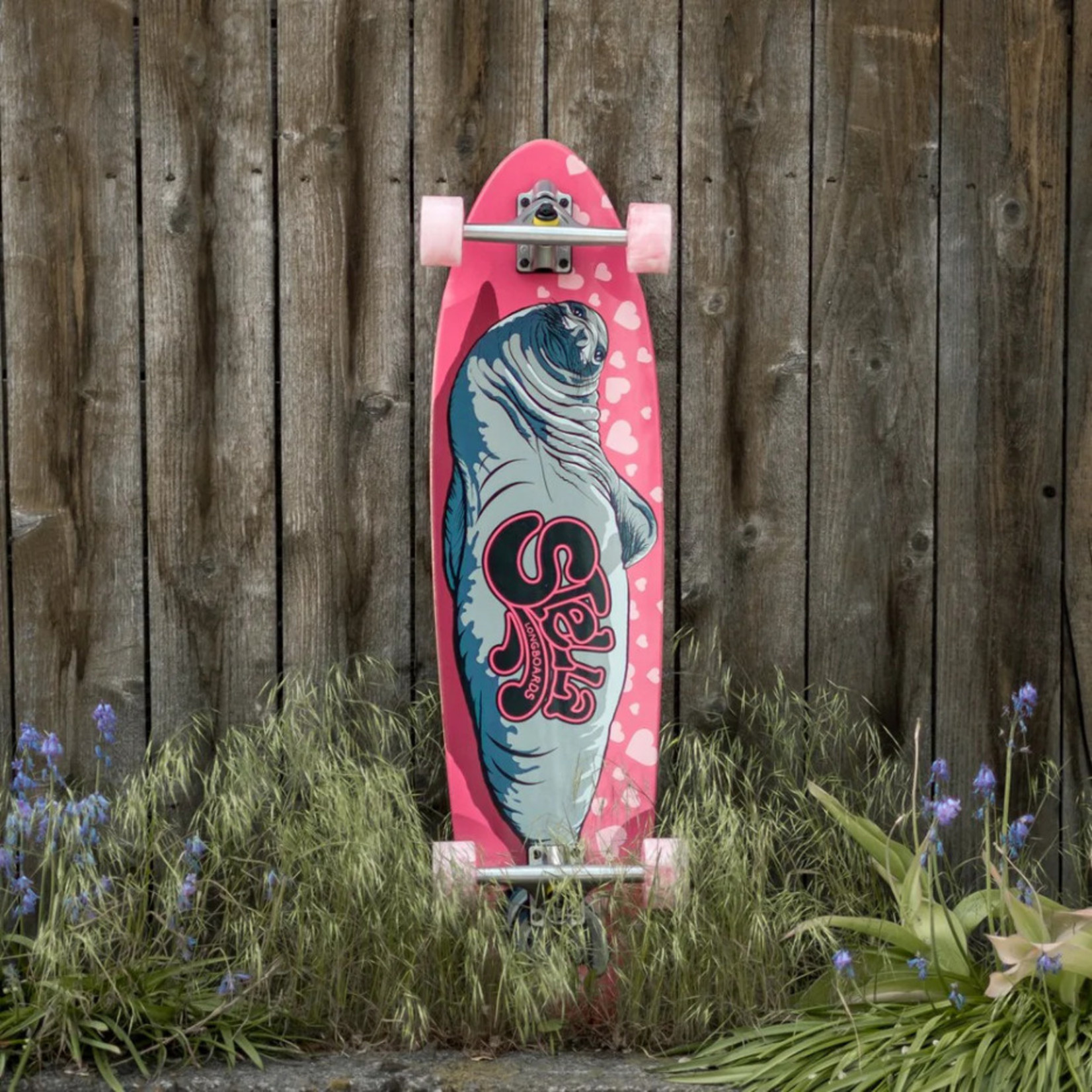 Stella STELLA SEXY SEA LION 38" KICKTAIL COMPLETE LONGBOARD