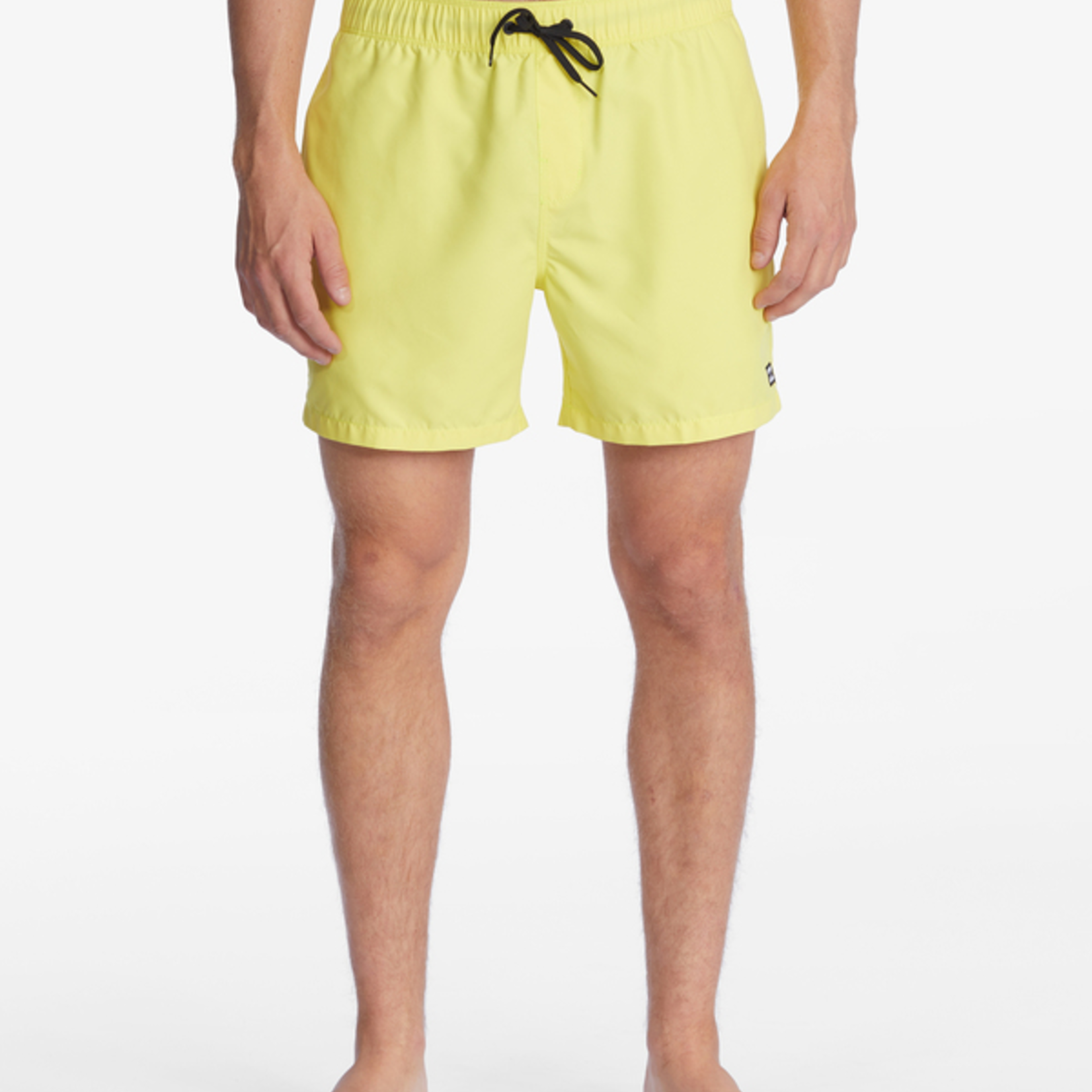 Billabong Men's Billabong All Day Layback Volley 16" Shorts