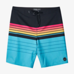 O'Neil Men's O'Neill Hyperfreak Heist Boardshorts
