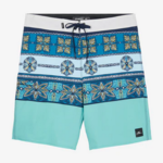 O'Neil Men's O'Neill Hyperfreak Heat Print 20" Boardshorts