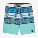 O'NEILL MEN'S O'NEILL HYPERFREAK HEAT PRINT 20 BOARDSHORTS