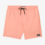 O'Neil Men's O'Neill Hermosa Solid 17" Elastic Waist Shorts