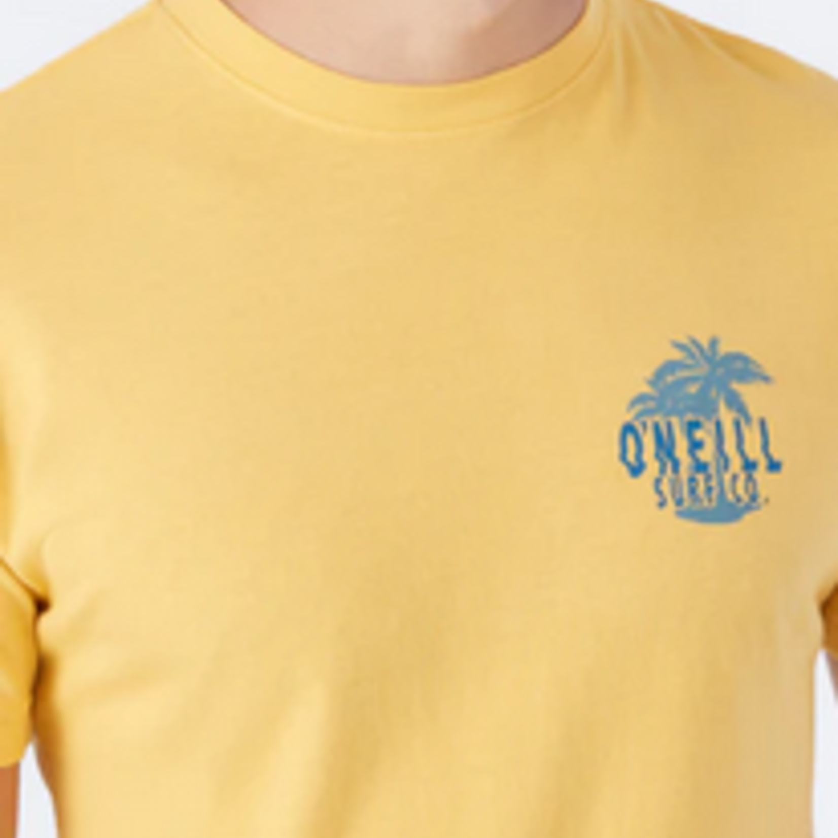 O'Neil Men's O'neill Van Life T-shirt