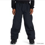 DC Men's DC Primo Snow Pant 2024