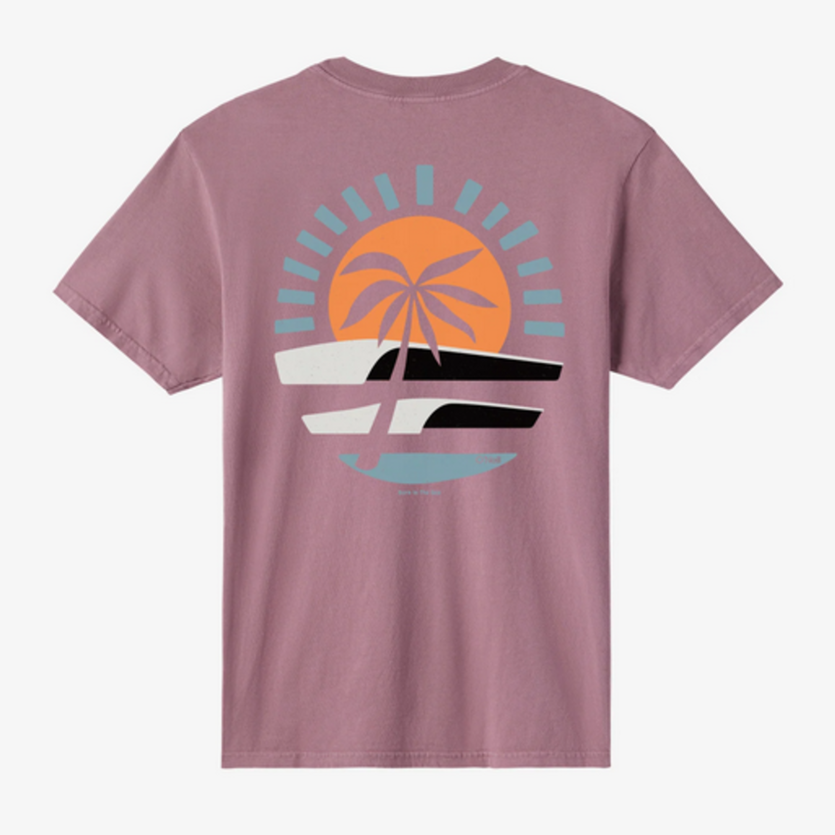 O'Neil Men's O'Neill OG Dusk Tshirt