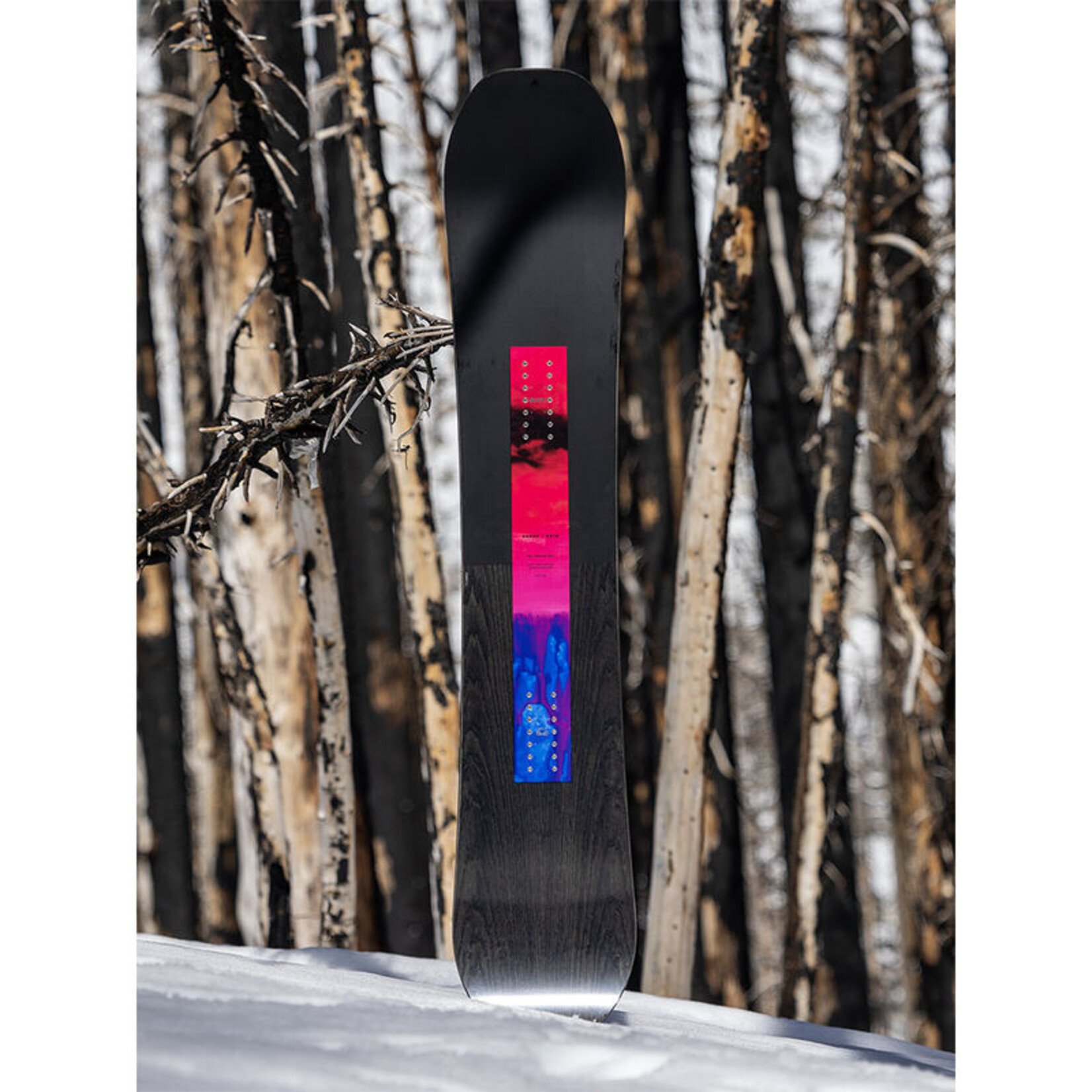 ARBOR Men's Arbor Rain Snowboard 2026