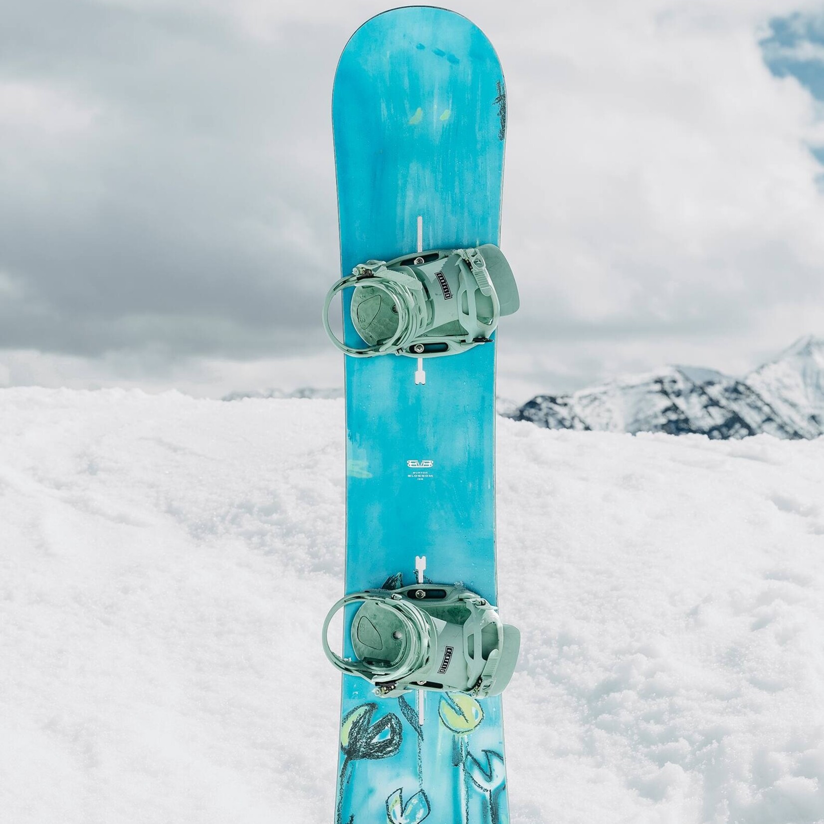 BURTON Men's Burton Blossom Camber Snowboard 2026