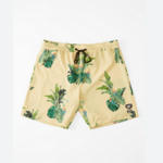 QUIKSILVER Men's Quiksilver Kamea Jungle Boardshorts