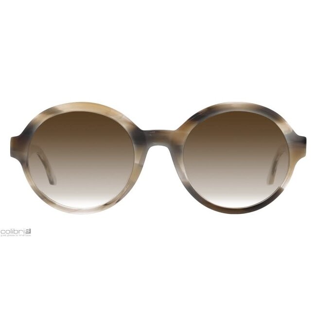 Colibris Colibris Minna