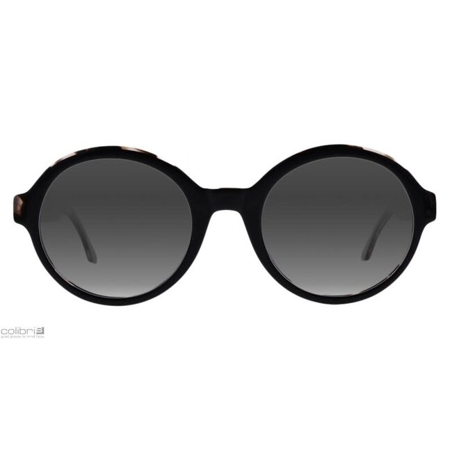 Colibris Colibris Minna