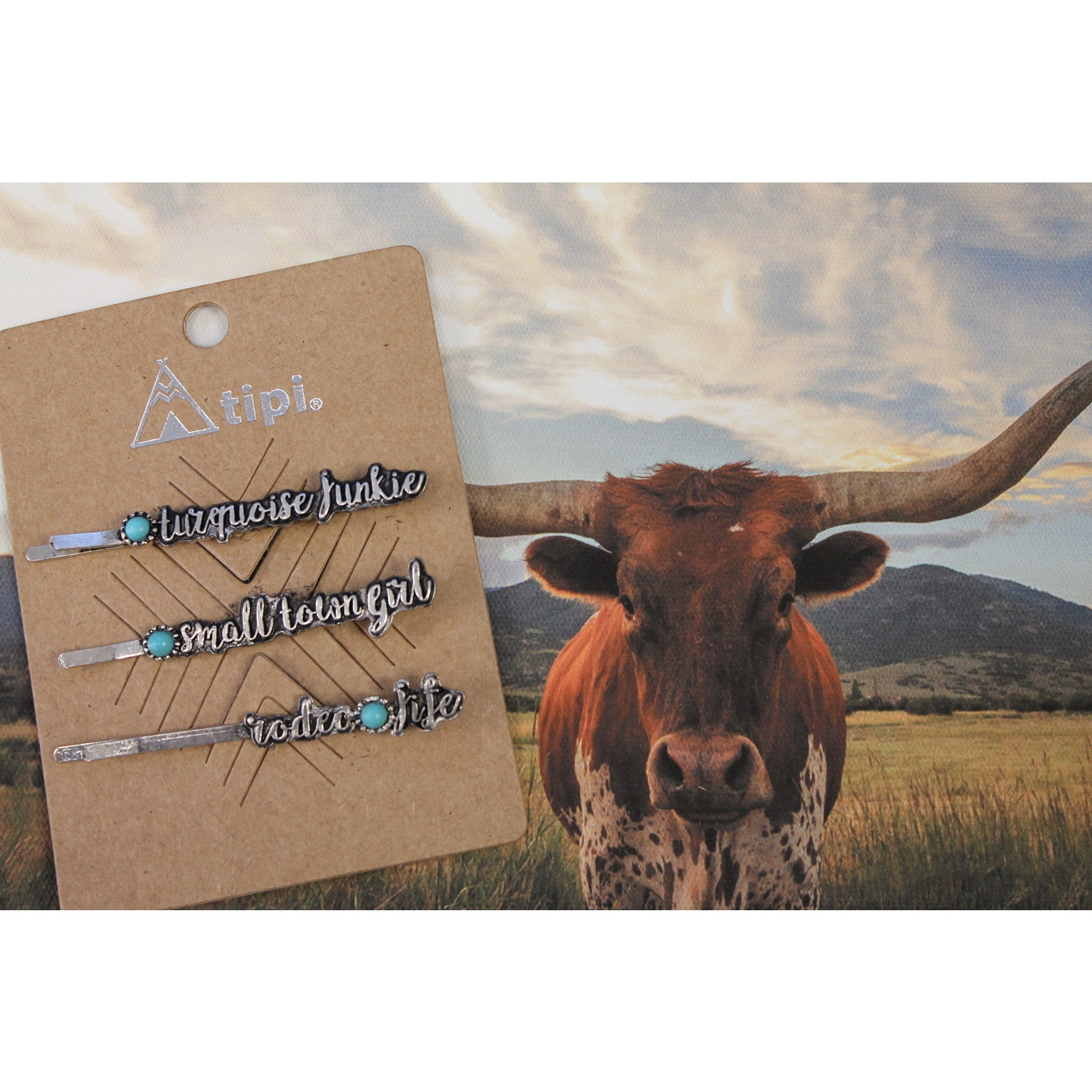 3 Piece Western Turquoise Bobby Pin Set