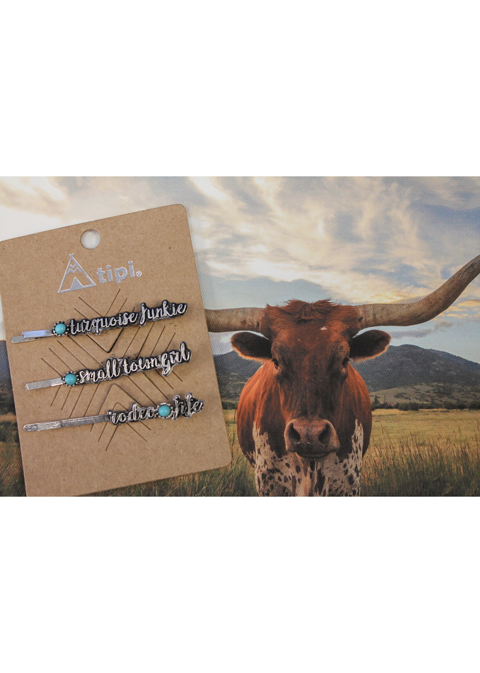 3 Piece Western Turquoise Bobby Pin Set