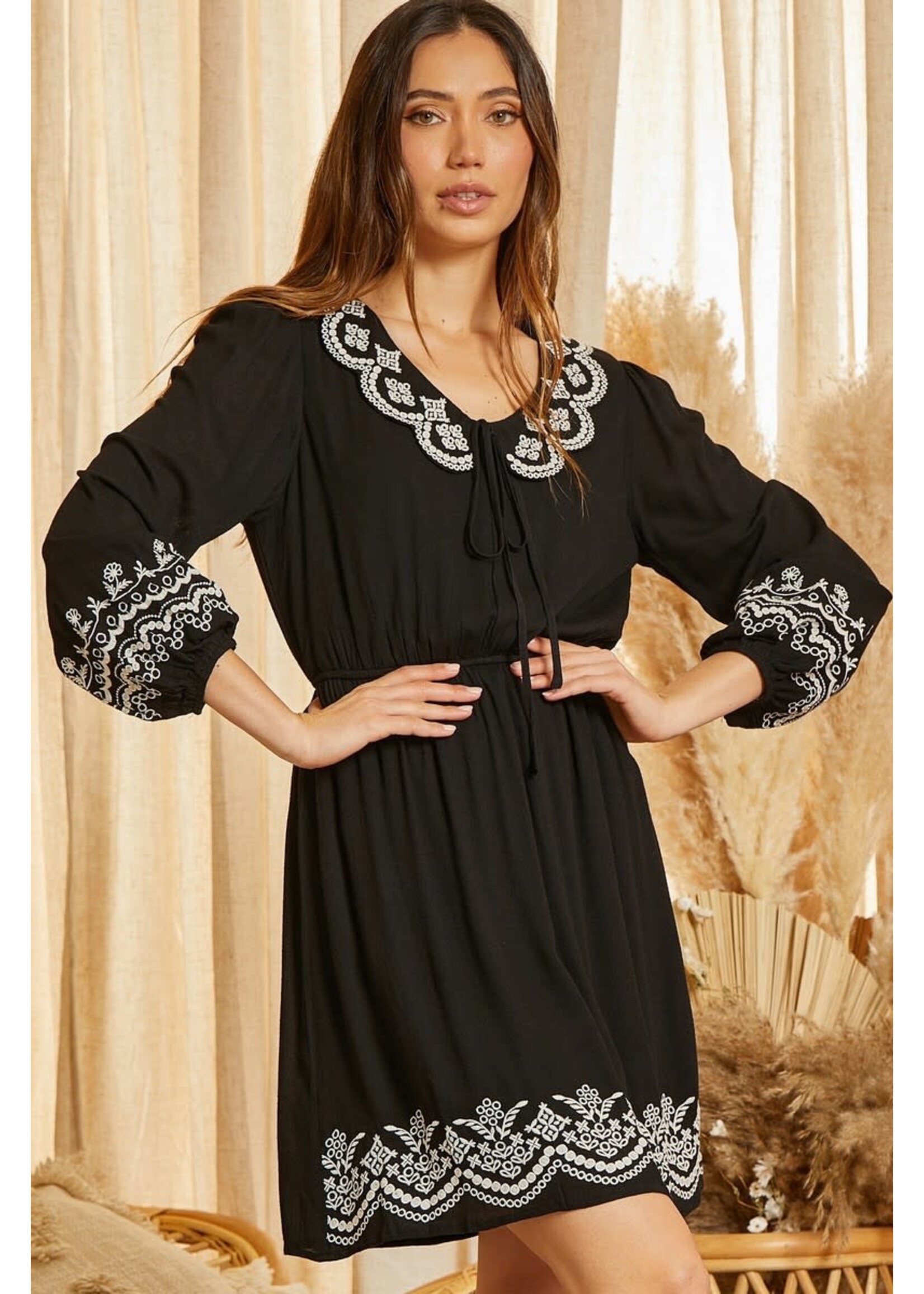Long Sleeve Embroidered Dress