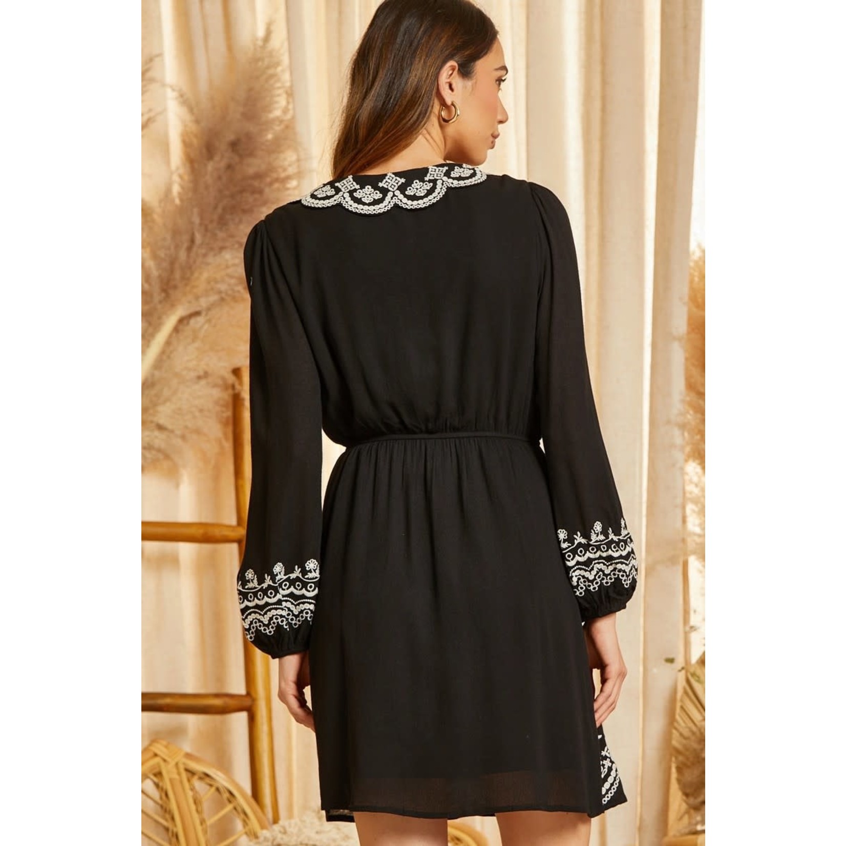 Long Sleeve Embroidered Dress