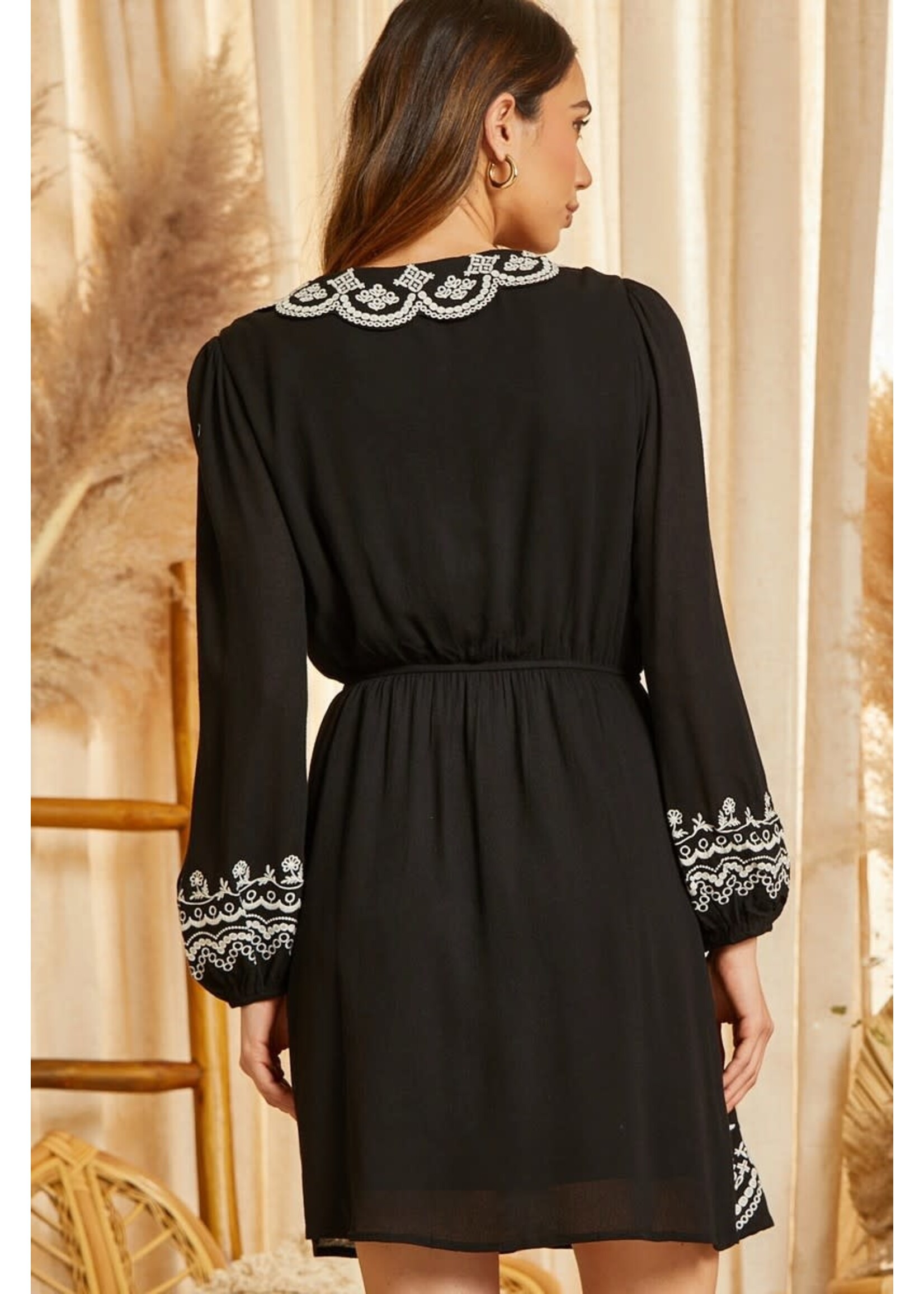 Long Sleeve Embroidered Dress