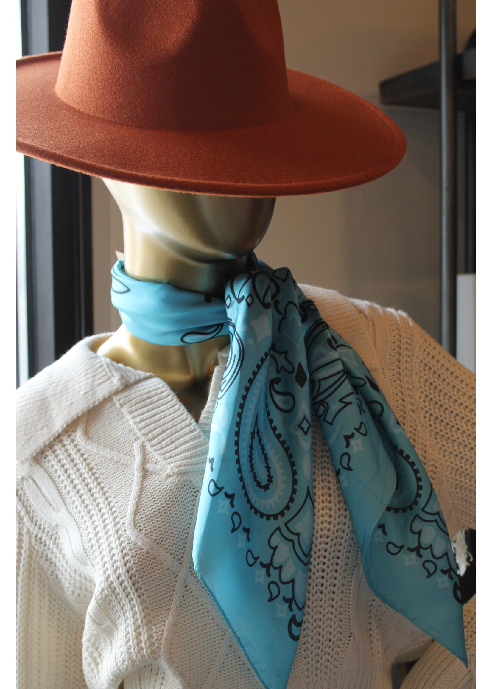 Silk Wild Rags