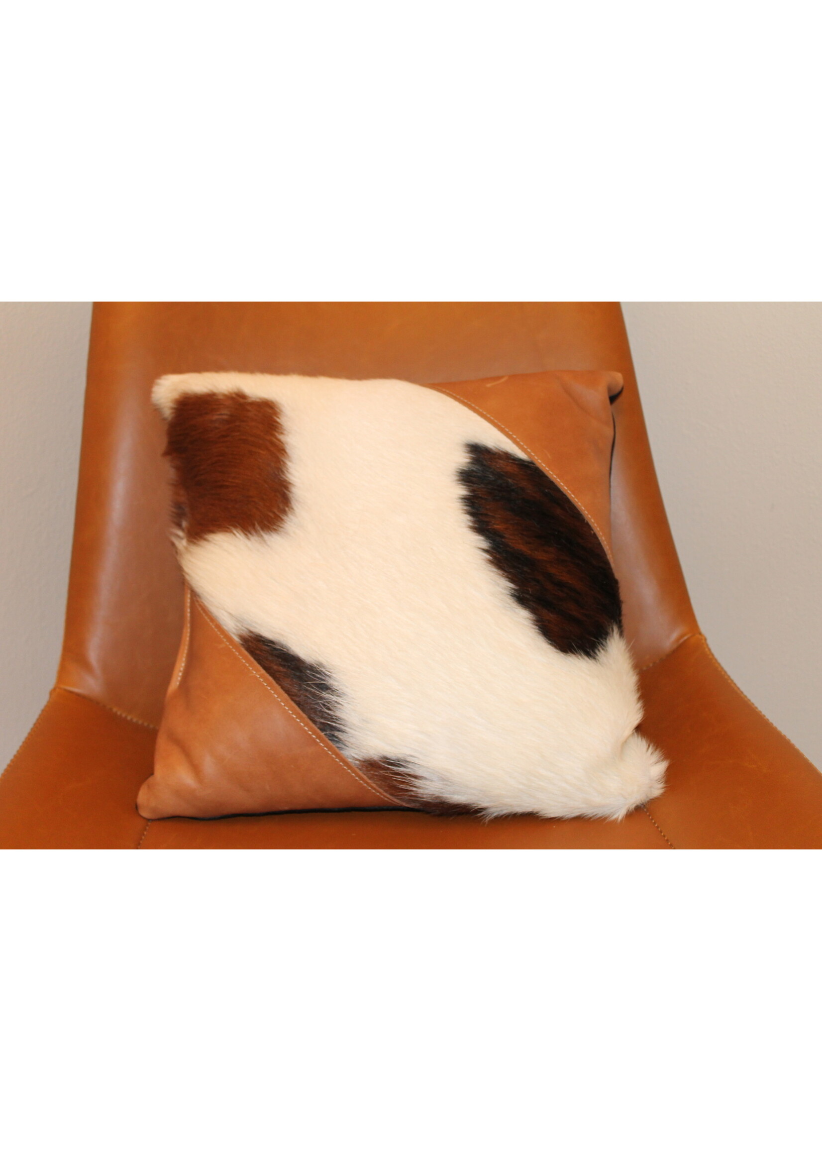 12x12 Posh Pillow