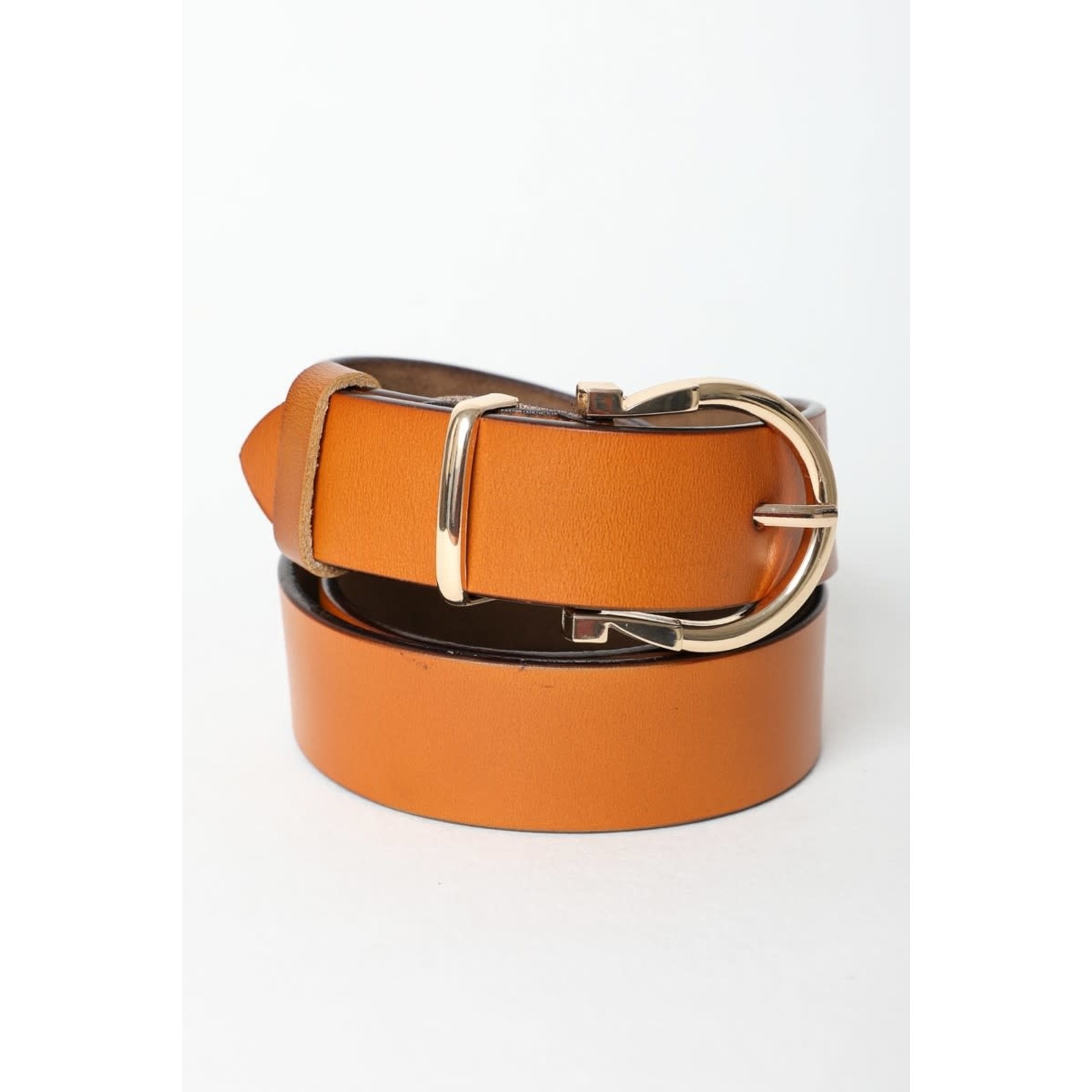 Horseshoe Gold Buckle Belt