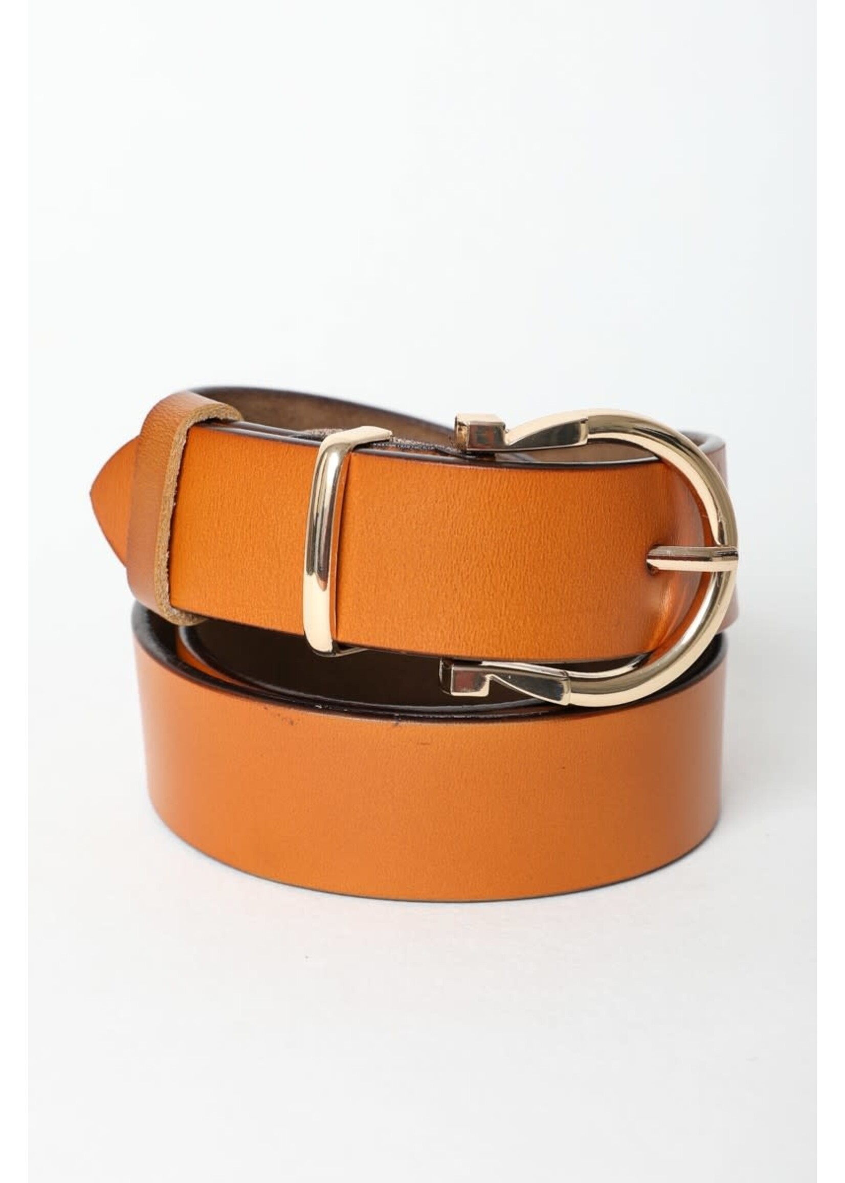 Horseshoe Gold Buckle Belt