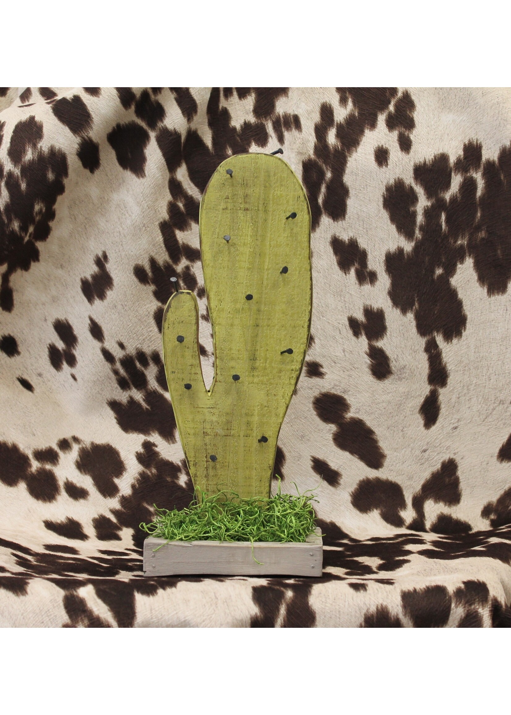 Wooden Cactus Display