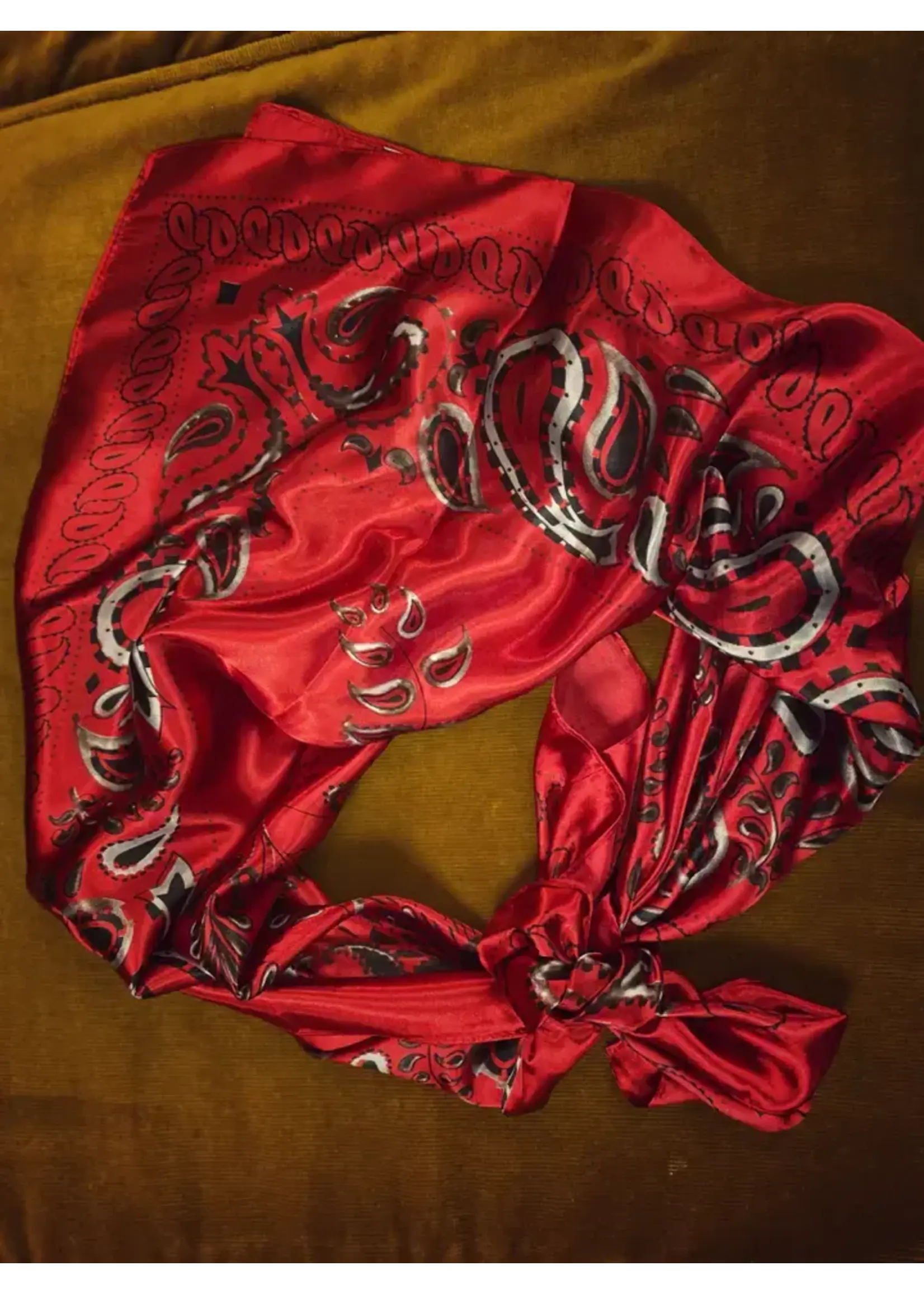 Silk Wild Rags