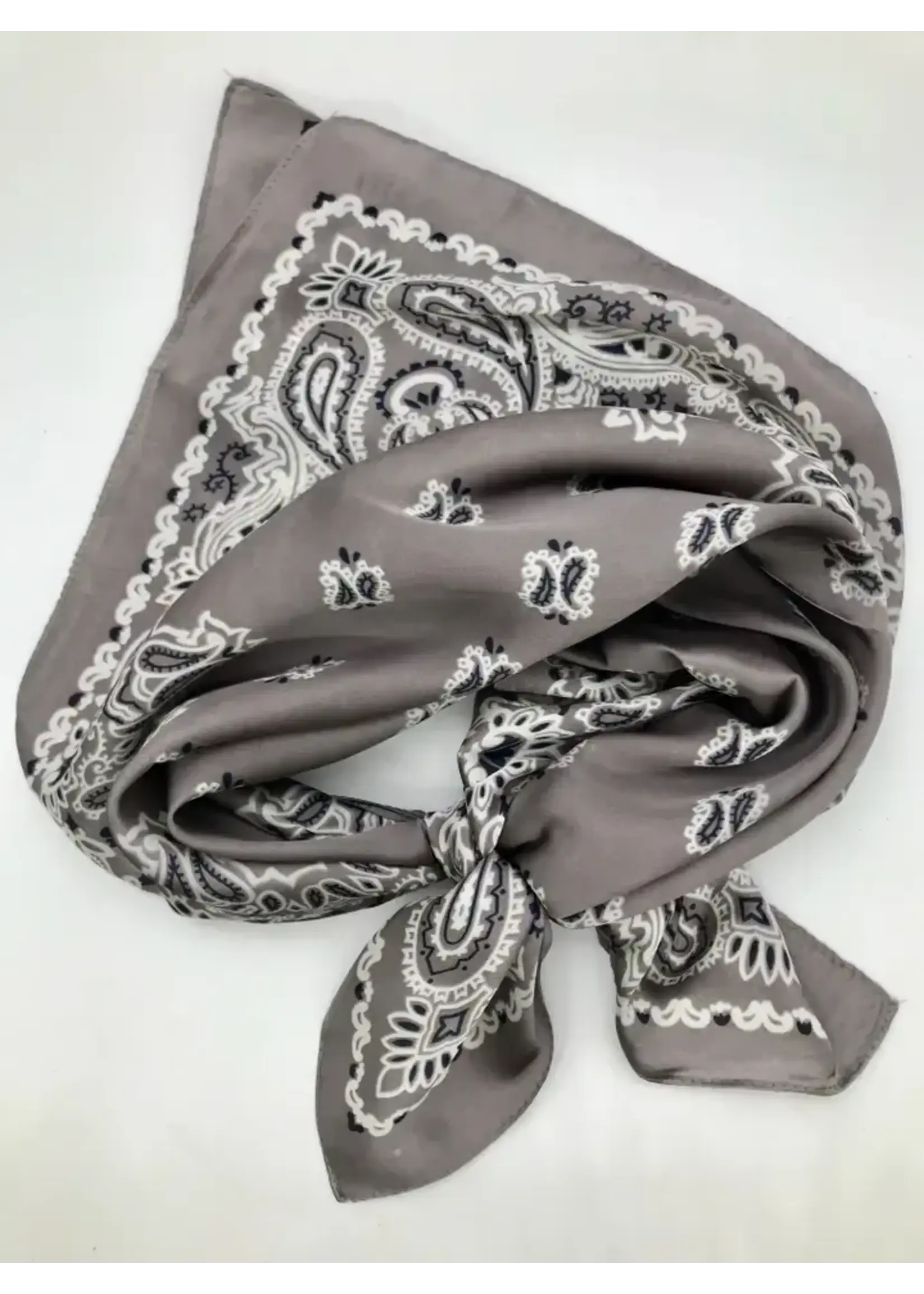 Silk Wild Rags