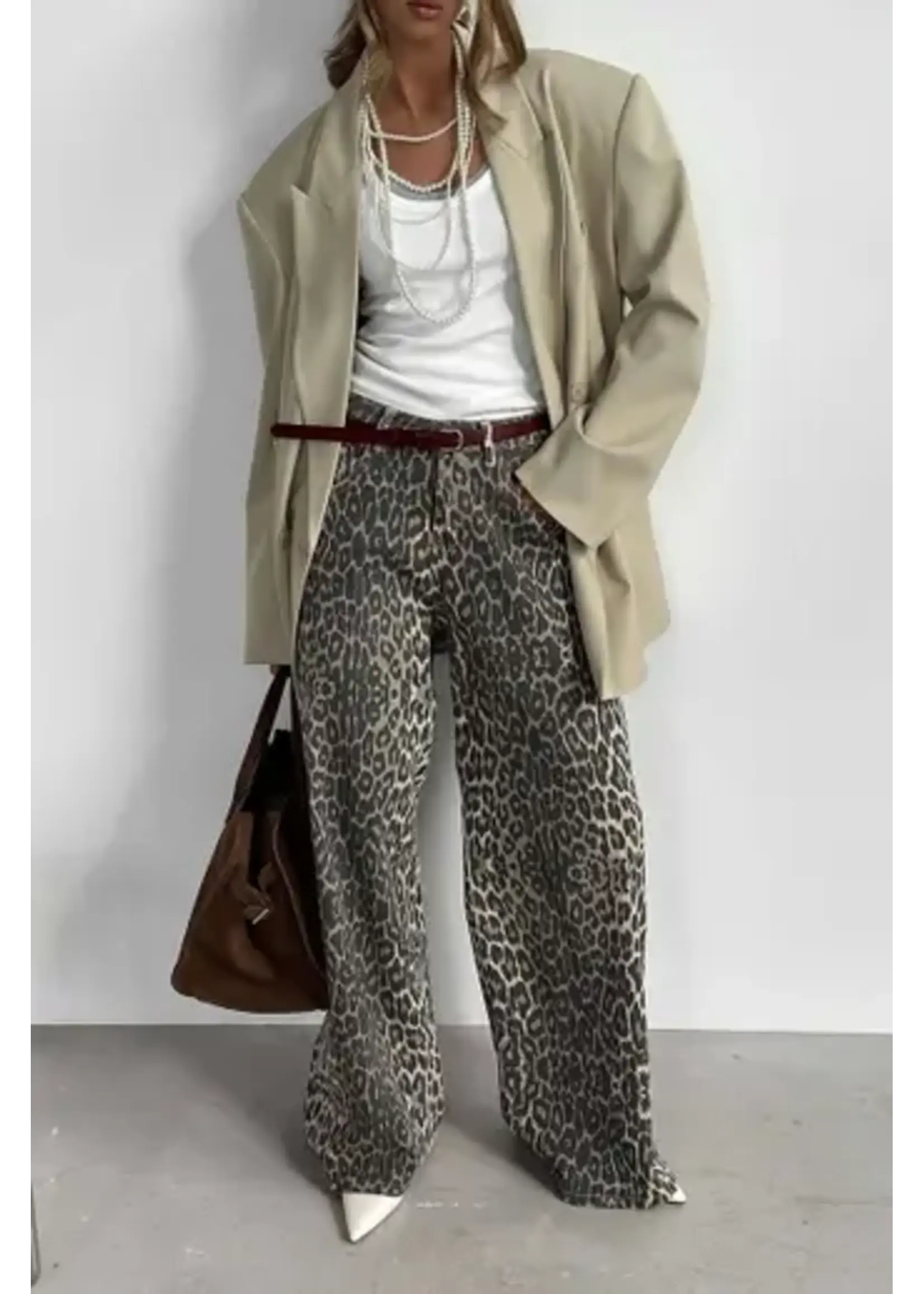 Leopard Print Wide Leg