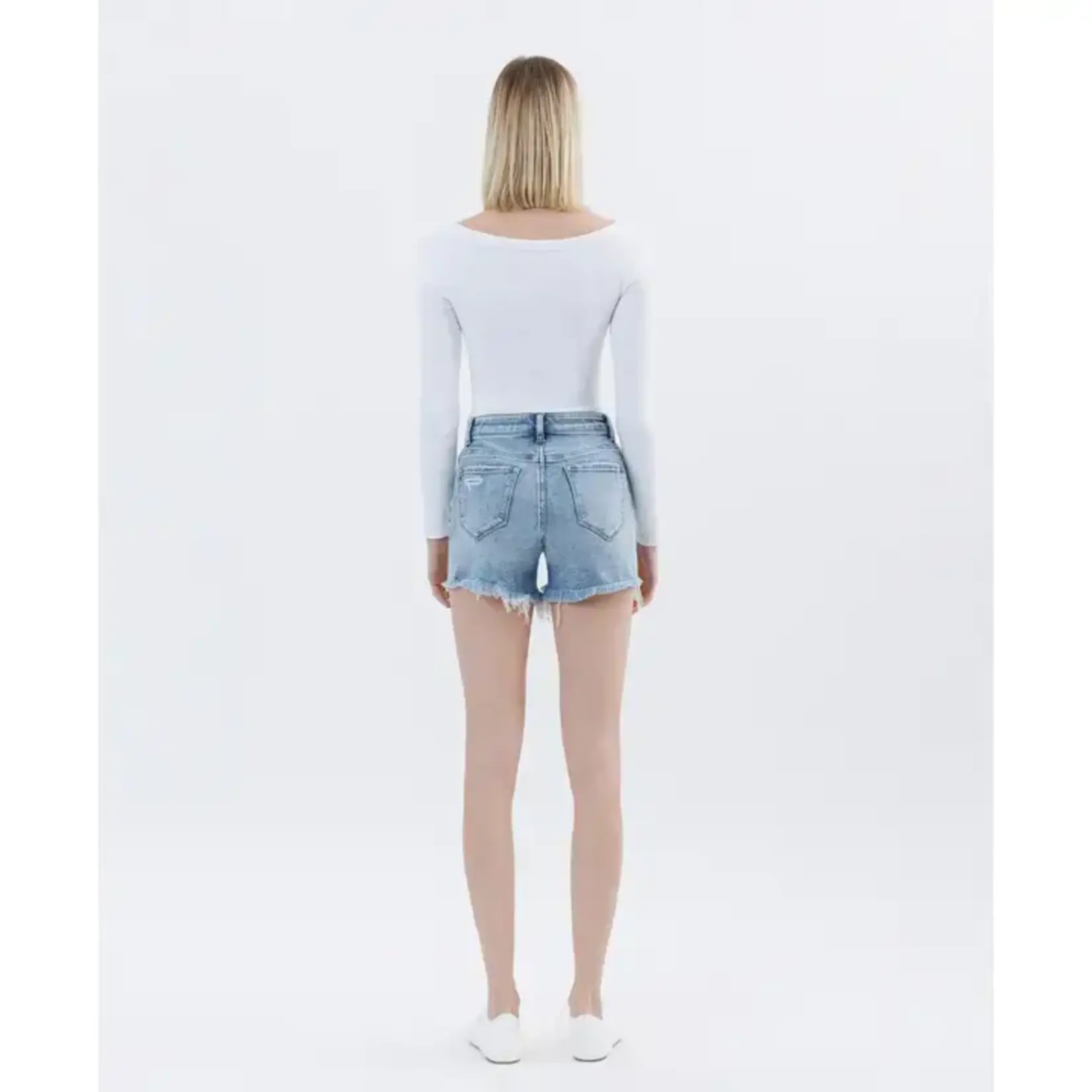 Maddie High Rise Distressed Denim Shorts