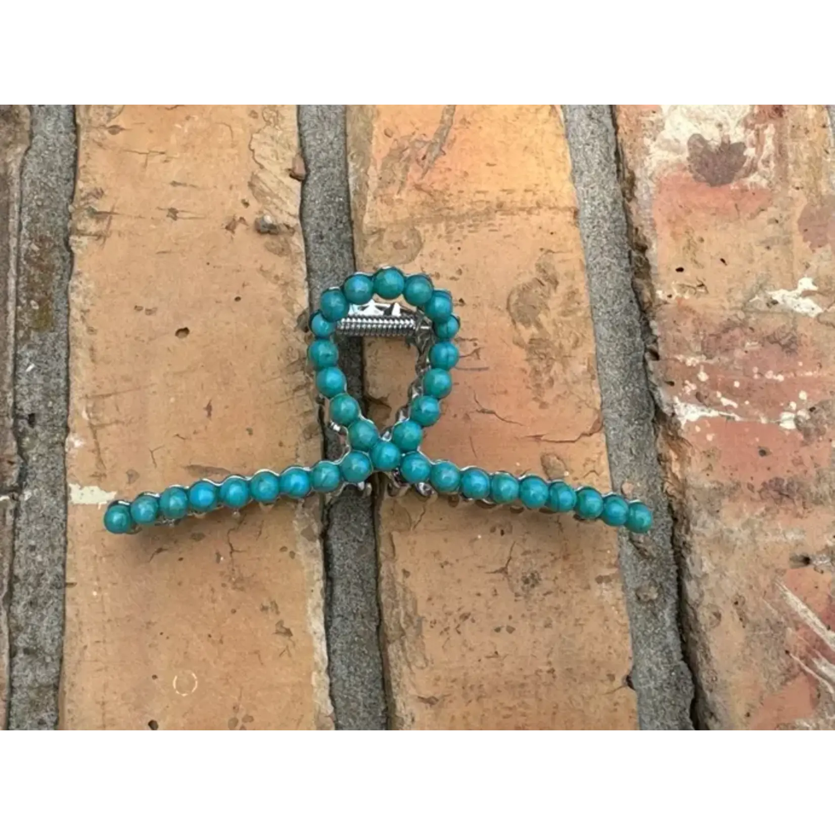 Metal Claw Clip