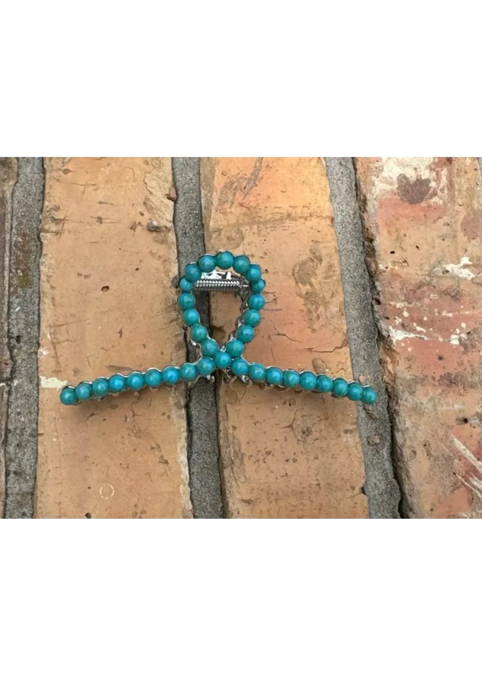 Metal Claw Clip