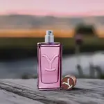 Yellowstone Dusk