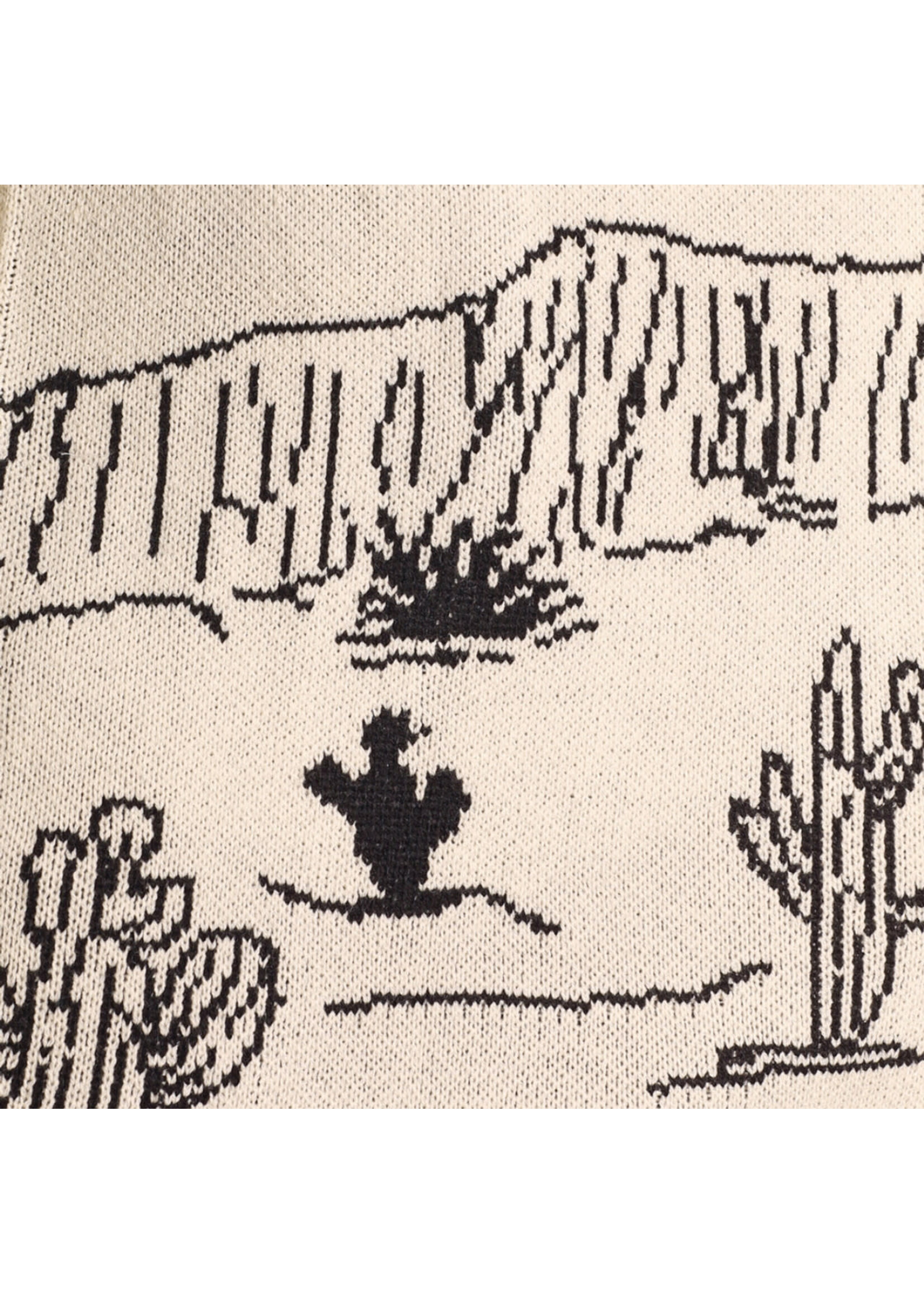 Fringed Desertscape