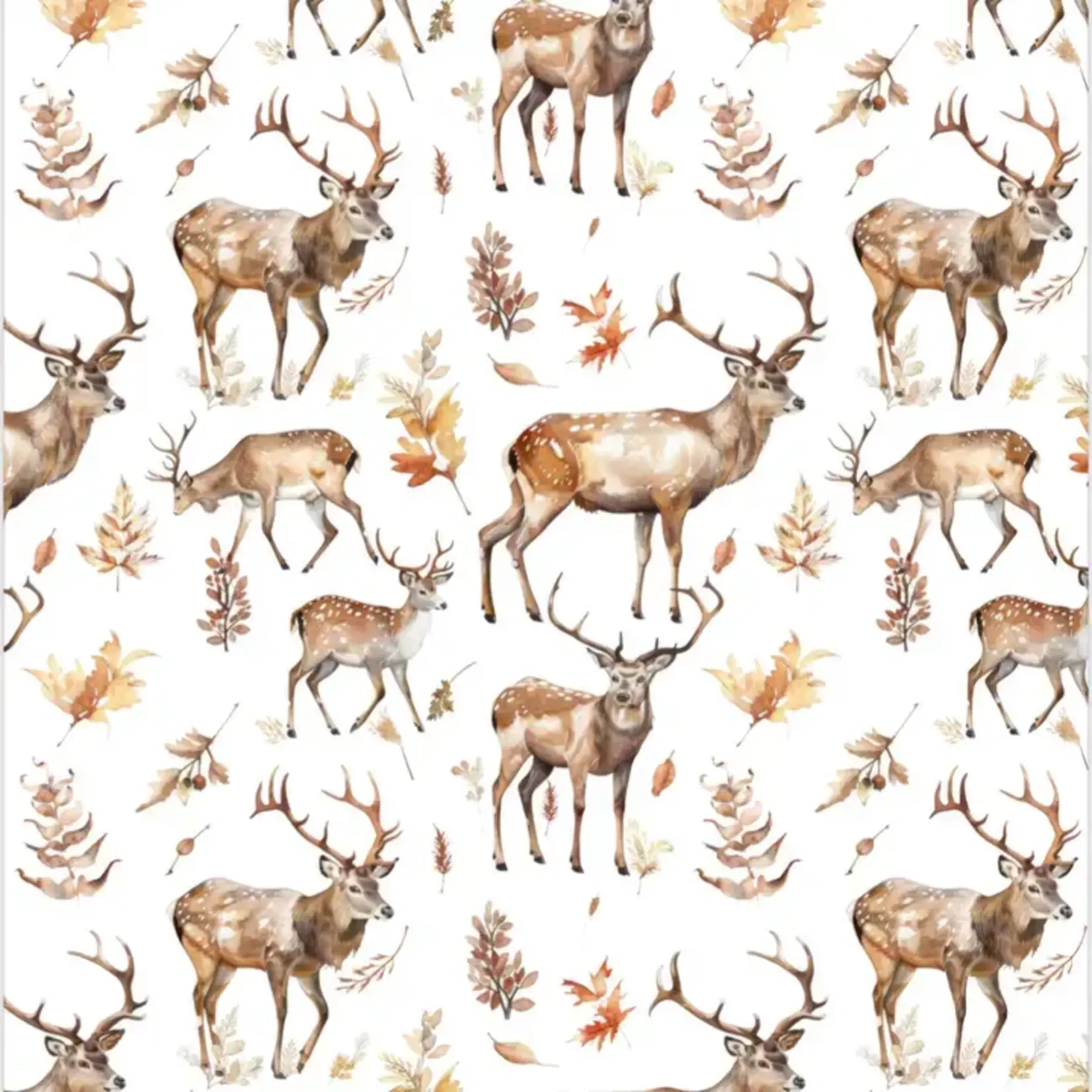Double Sided Wash Cloth