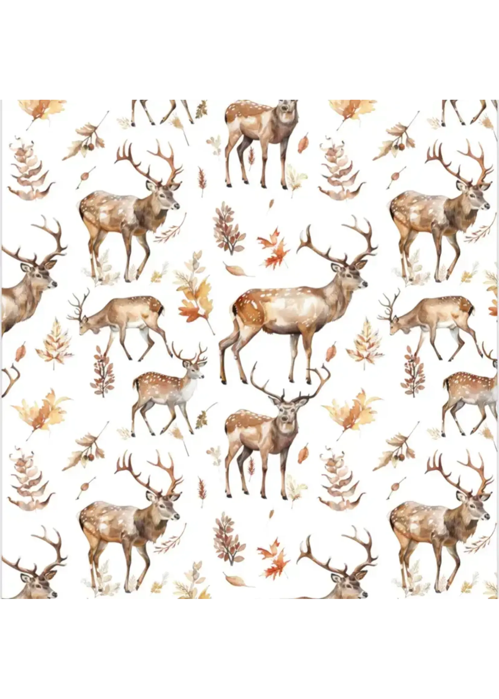 Double Sided Wash Cloth
