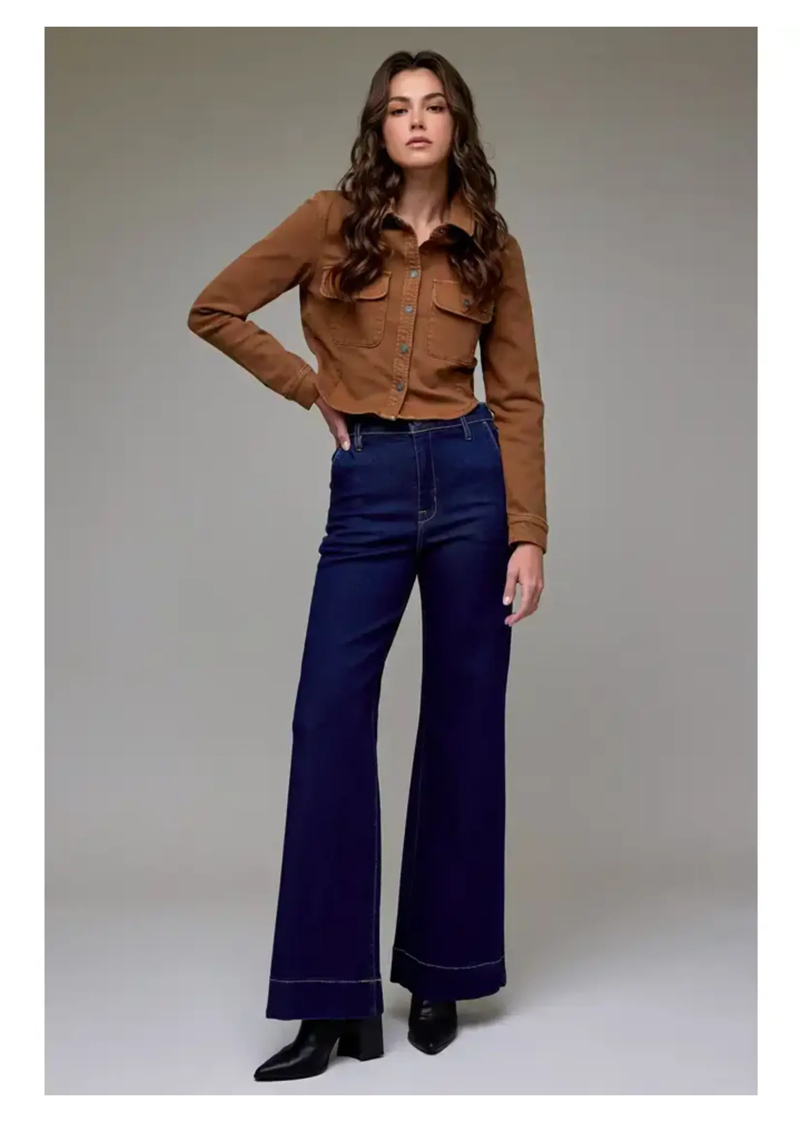 Hidden Jeans High Rise Flare Trouser 33" Inseam