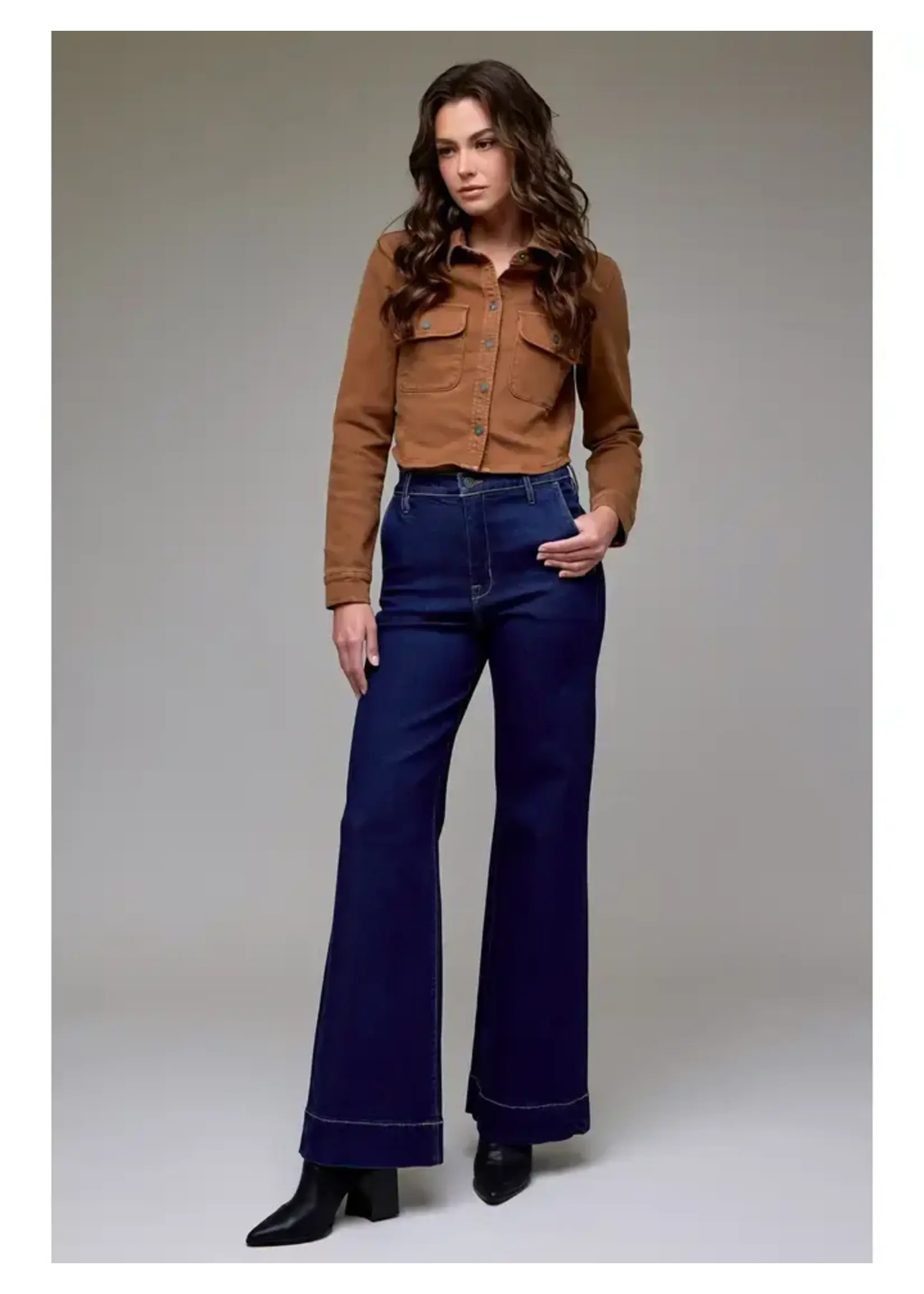 Hidden Jeans High Rise Flare Trouser 33" Inseam
